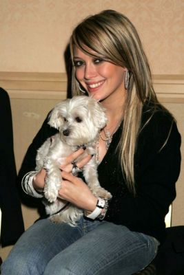 Hilary 2